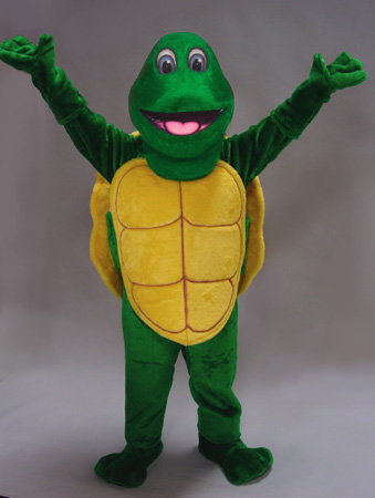 Turtle Day Outfit