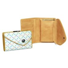 Rainbow - Medium Wallet w/ Clasp