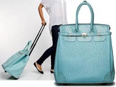 Watch Out! Gigantic Birkin Bag Rolling Through!