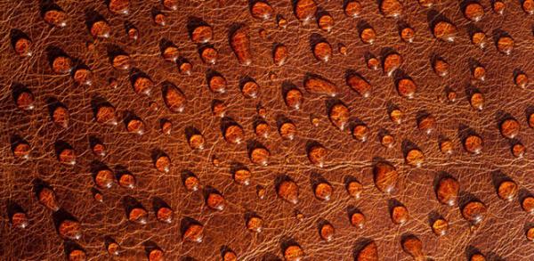 Water Stains: What They Are and What to do About Them