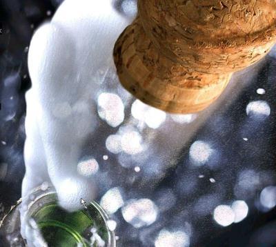 New Year’s Resolution — Handbags