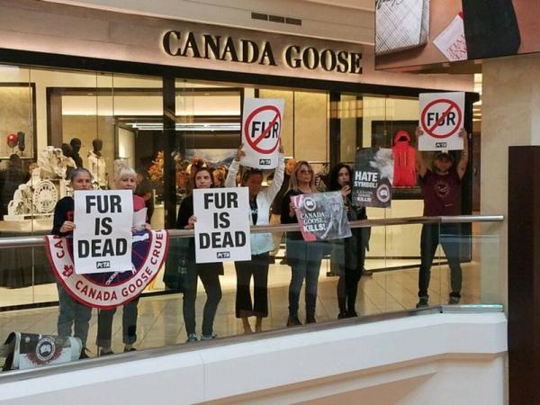 Los Angeles Fur BAN!