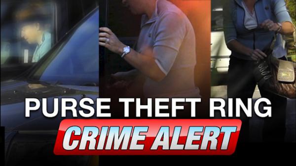 Purse Thieves Left and Right