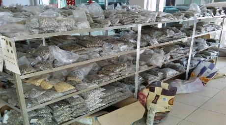 The Composition of a Handbag