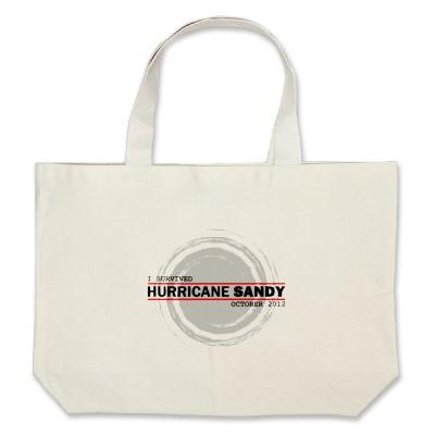 I Survived Hurricane Sandy Tote Bag