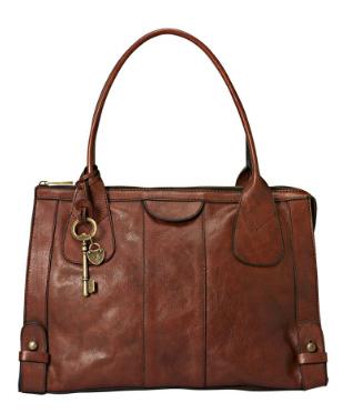 Fossil Vintage Reissue Leather Color Block Satchel