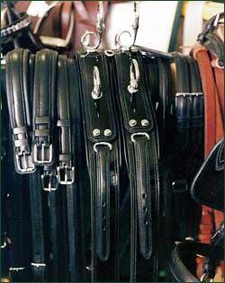 Designer Luggage — Behind CLOSED Doors!