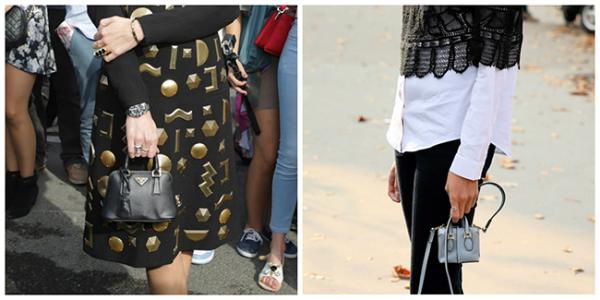 Spring Ushers in the Smallest of the Small