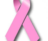 Handbags for a Good Cause