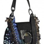 Peacock on the Loose!