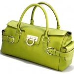 I found an old 2008 Ferrago Handbag