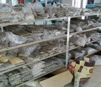 The Composition of a Handbag