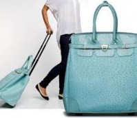 Watch Out! Gigantic Birkin Bag Rolling Through!