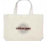 I Survived Hurricane Sandy Tote Bag