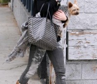 Goyard Tote — Hilary Duff