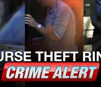 Purse Thieves Left and Right