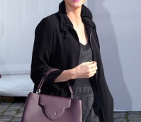 Celebrities and the Louis Vuitton Capucines