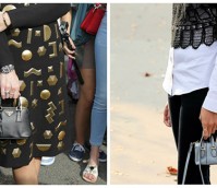 Spring Ushers in the Smallest of the Small